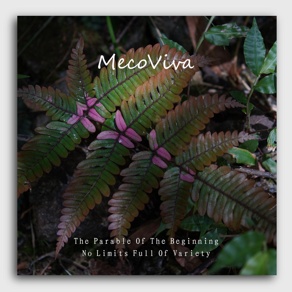 【MecoViva】 925 Silver Premium Women Brooch High-End Temperament Original Unique Fern leaves Series Design Styles Brooch Natural Art Female Fashion Brooch