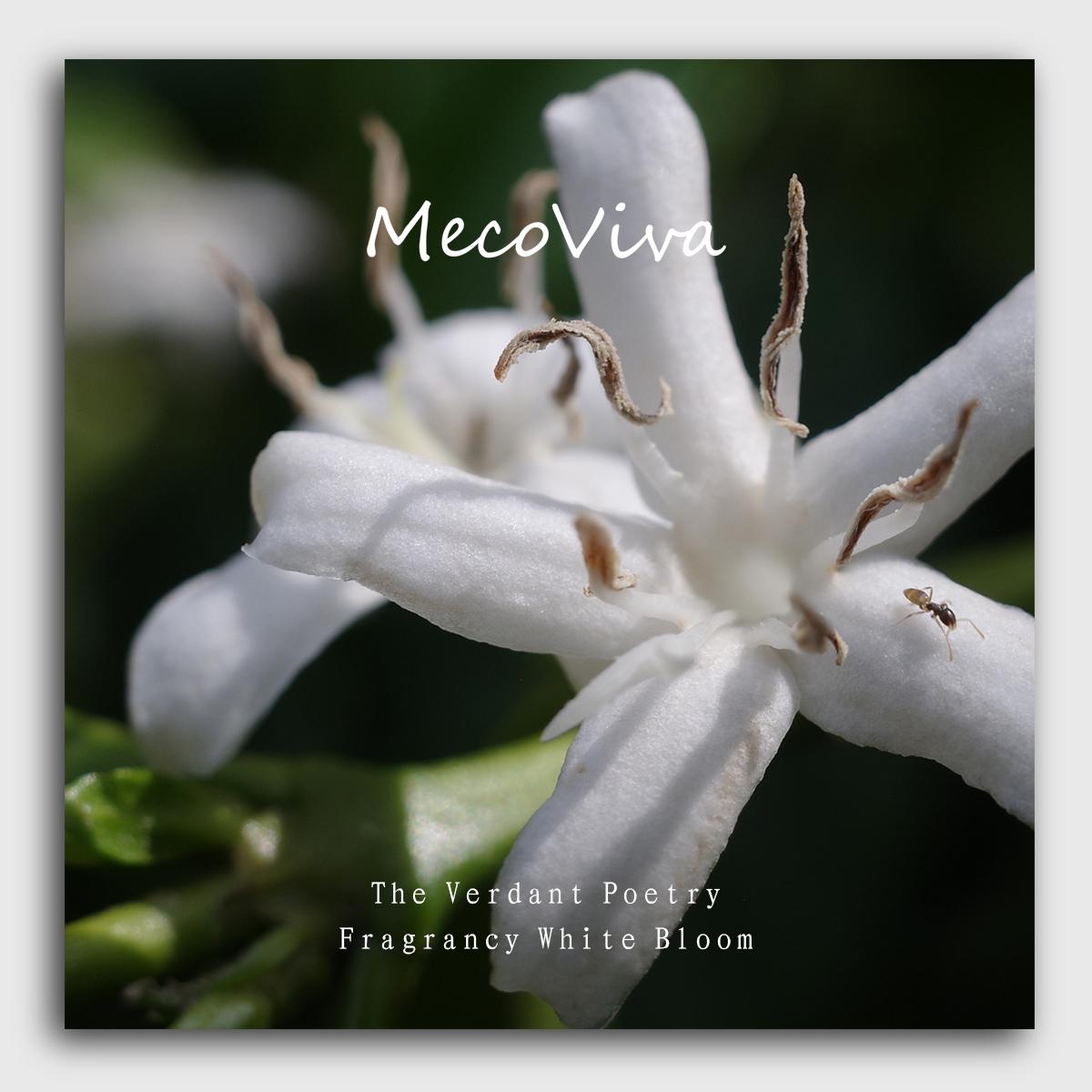 【MecoViva】 925 Silver Enamel Olivine Premium Women Pendent Earrings  High-End Temperament Original Unique Coffee Flower Design Styles Earring Natural Art Female Fashion Pendent Earrings