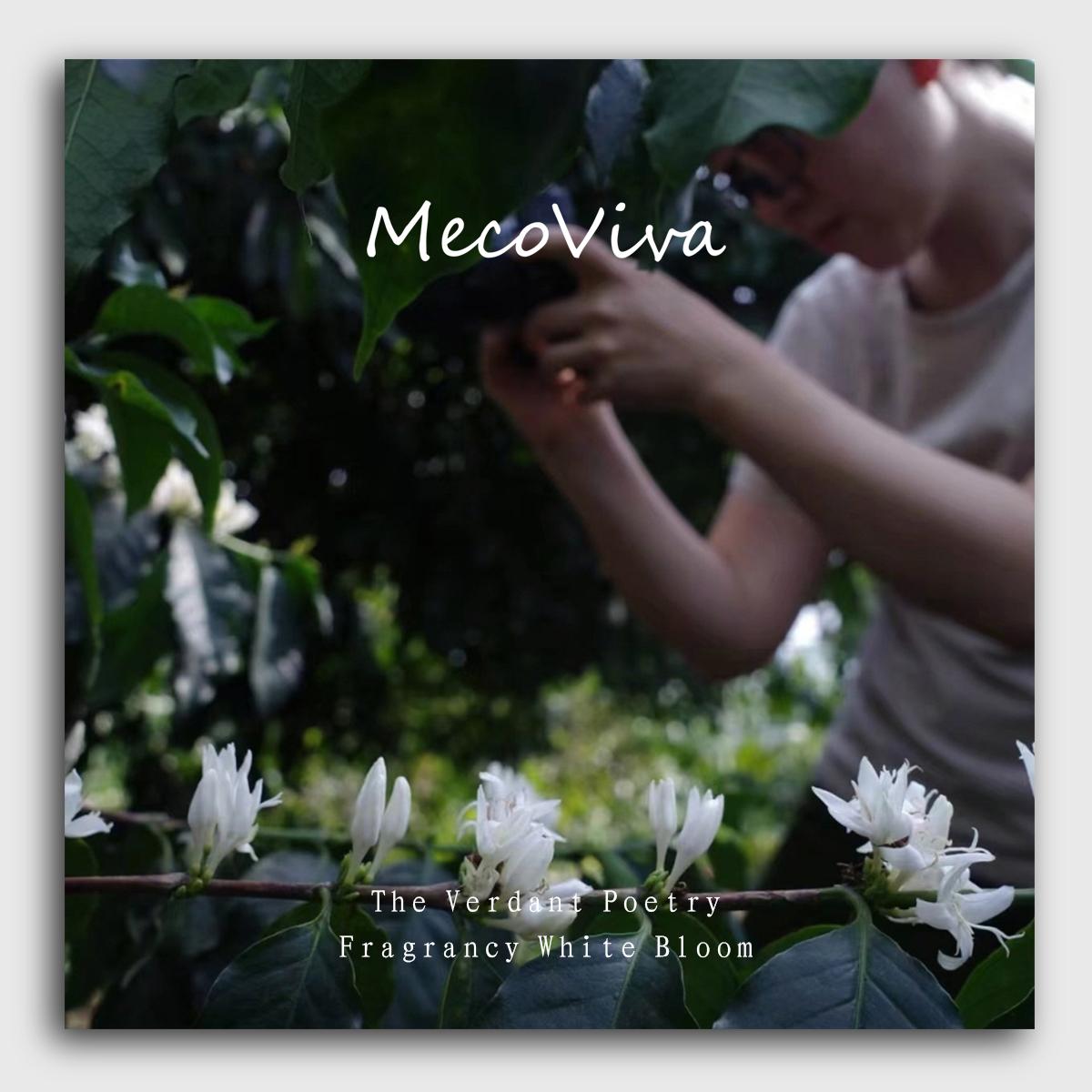 【MecoViva】 925 Silver Premium Women Earrings High-End Temperament Original Unique Coffee Flower Shape Design Styles Natural Art Female Fashion Earrings
