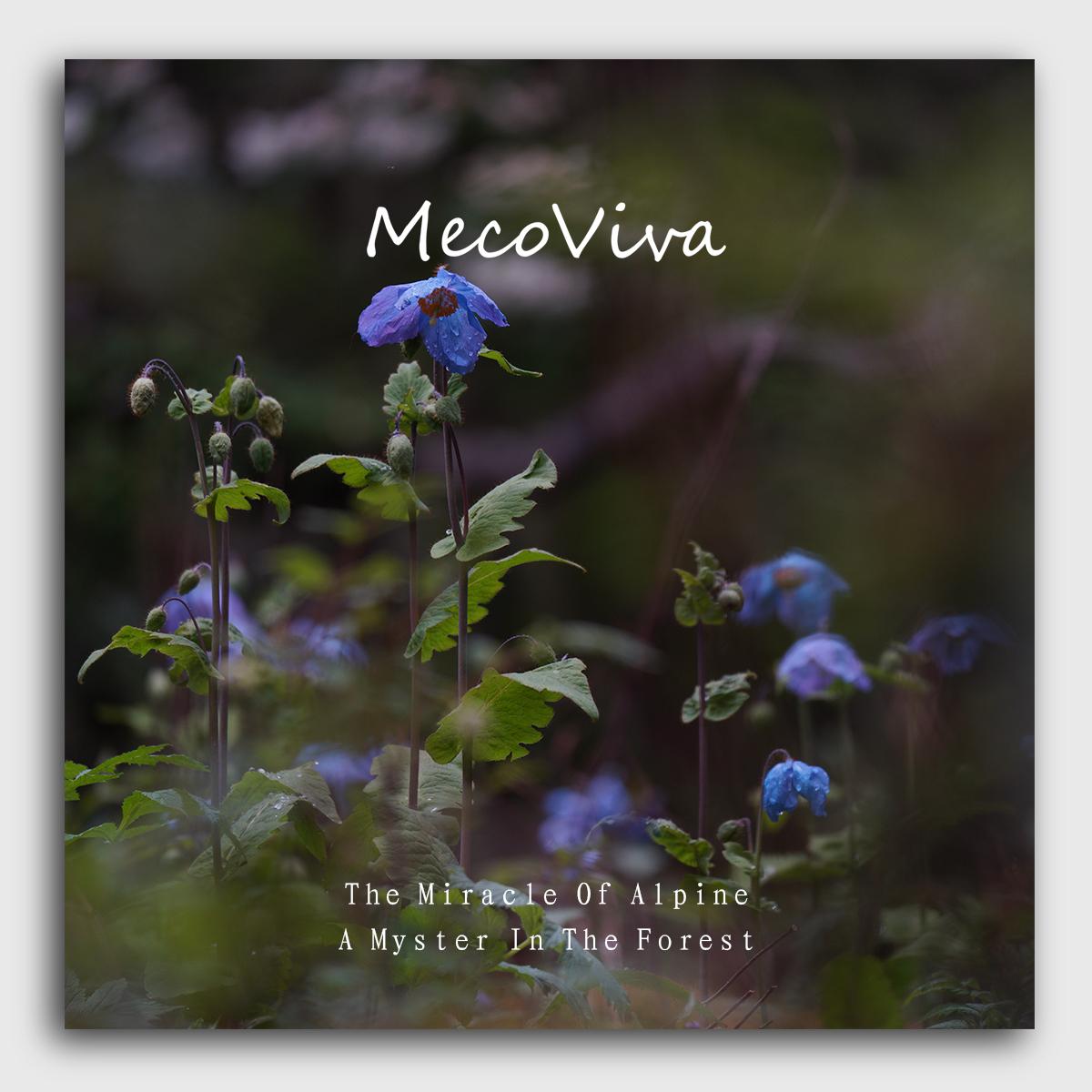 【MecoViva】 925 Silver Enamel Premium Women Brooch High-End Temperament Original Unique Meconpsis Betonicifolia Series Design Styles Brooch Natural Art Female Fashion Brooch